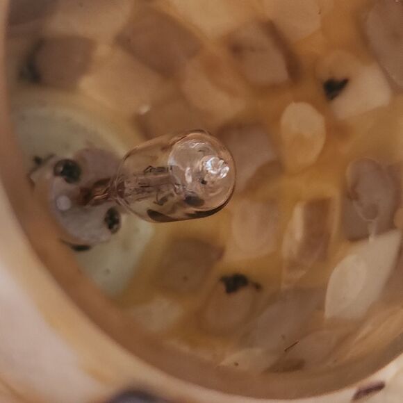 Capiz Shell NightLight - Picture 10 of 12